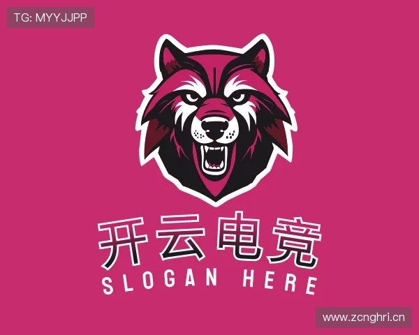 解读开云电竞